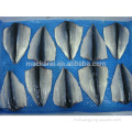 Exportation chinoise Fish Fish MacKerel Volde